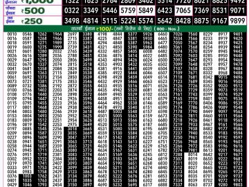 Lottery Result Today October 22, 2024