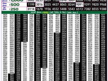 Lottery Result Today October 29, 2024