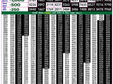 Lottery Result Today October 13, 2024