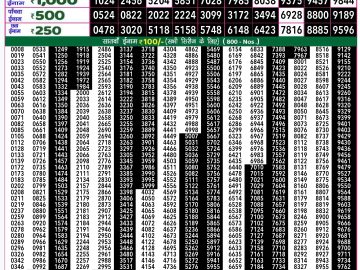 Lottery Result Today October 20, 2024