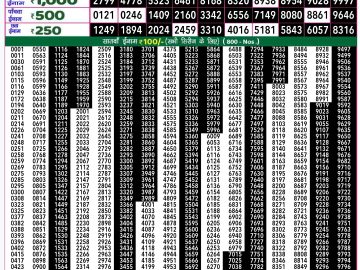 Lottery Result Today October 27, 2024