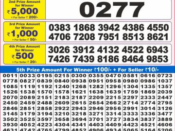 Lottery Result Today November 17, 2024