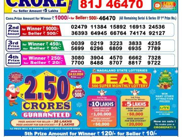 Lottery Result Today November 13, 2024