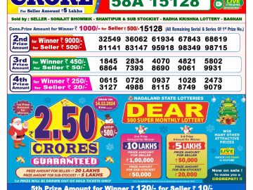 Lottery Result Today November 16, 2024