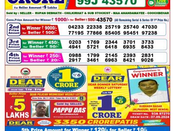 Lottery Result Today November 17, 2024