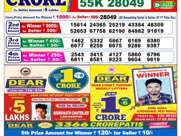 Lottery Result Today November 20, 2024