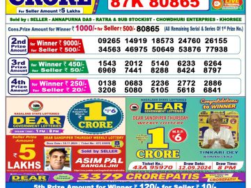 Lottery Result Today November 26, 2024