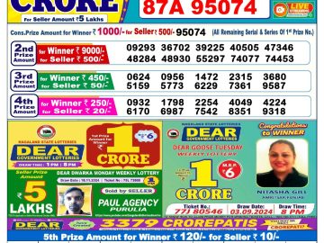 Lottery Result Today November 29, 2024