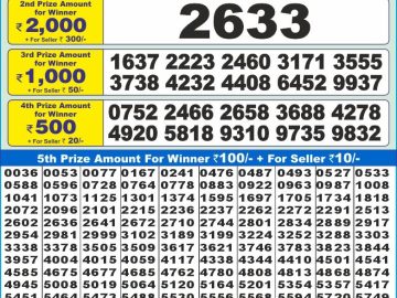 Lottery Result Today November 20, 2024