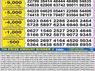 Lottery Result Today November 17, 2024