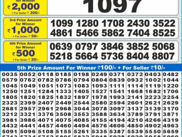 Lottery Result Today November 10, 2024