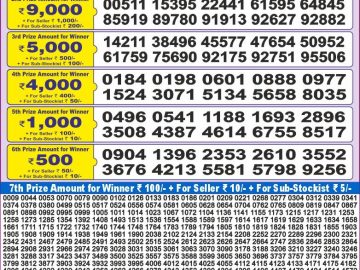 Lottery Result Today November 4, 2024