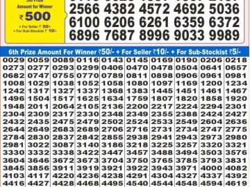 Lottery Result Today November 15, 2024