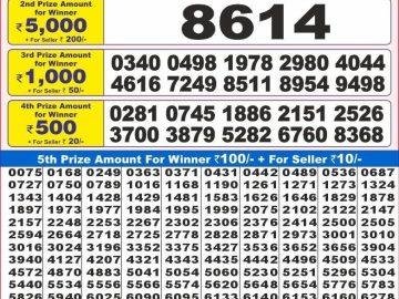 Lottery Result Today November 30, 2024