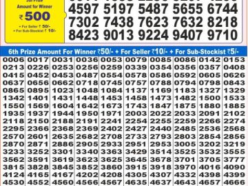 Lottery Result Today November 25, 2024