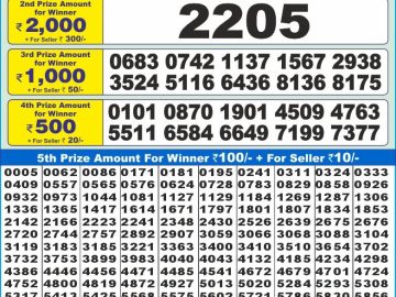 Lottery Result Today November 22, 2024