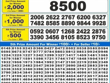 Lottery Result Today November 12, 2024