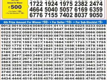 Lottery Result Today November 27, 2024