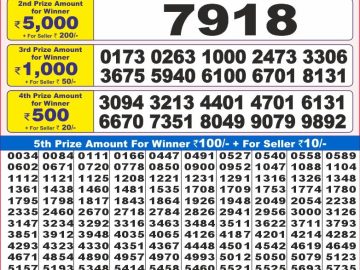 Lottery Result Today November 26, 2024