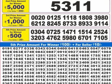 Lottery Result Today November 21, 2024