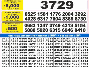 Lottery Result Today November 19, 2024