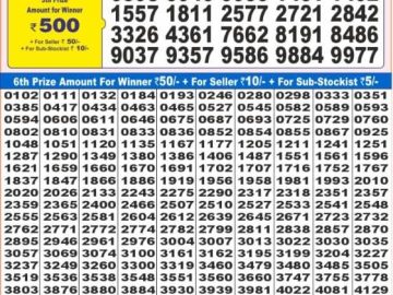 Lottery Result Today November 6, 2024