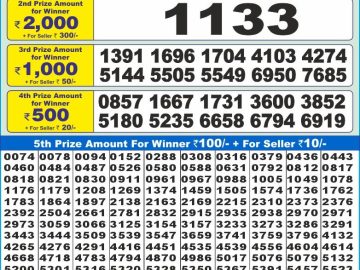 Lottery Result Today November 30, 2024