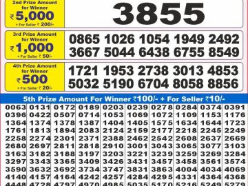 Lottery Result Today November 25, 2024