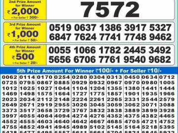 Lottery Result Today November 14, 2024