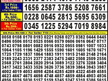 Lottery Result Today November 26, 2024