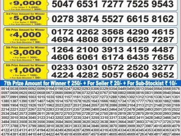 Lottery Result Today November 14, 2024