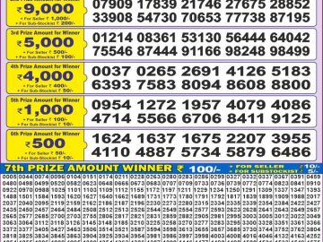 Lottery Result Today November 20, 2024