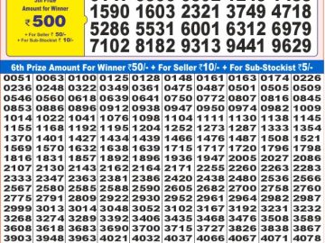 Lottery Result Today November 11, 2024