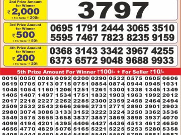 Lottery Result Today November 8, 2024