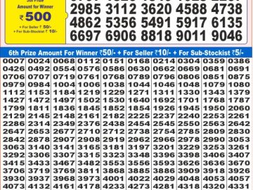 Lottery Result Today November 10, 2024