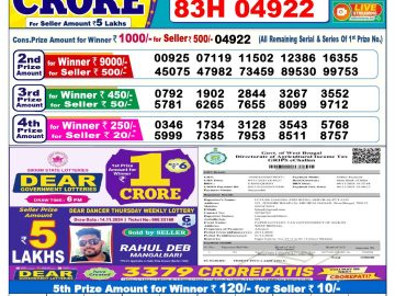 Lottery Result Today November 25, 2024