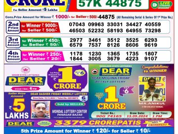 Lottery Result Today November 26, 2024