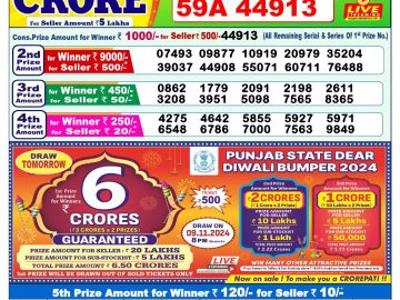 Lottery Result Today November 8, 2024