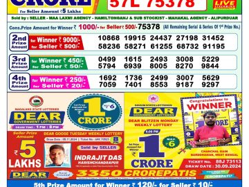 Lottery Result Today November 16, 2024