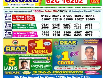 Lottery Result Today November 21, 2024