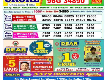 Lottery Result Today November 30, 2024