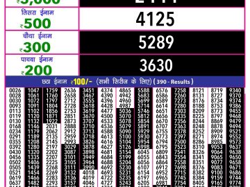 Lottery Result Today November 13, 2024