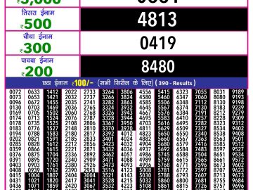 Lottery Result Today November 21, 2024