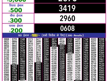 Lottery Result Today November 12, 2024