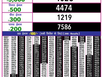 Lottery Result Today November 26, 2024