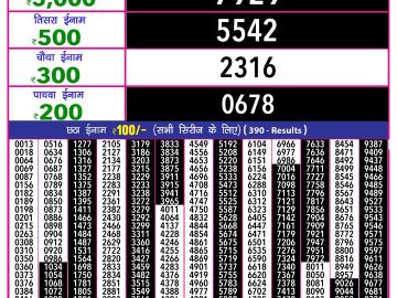 Lottery Result Today November 10, 2024