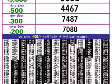 Lottery Result Today November 23, 2024