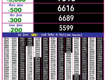 Lottery Result Today November 29, 2024