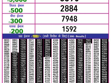 Lottery Result Today November 11, 2024