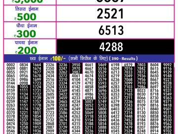 Lottery Result Today November 25, 2024